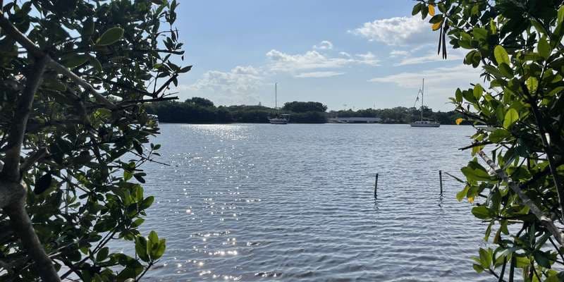 The featured photo for Riverside Park Living Shoreline