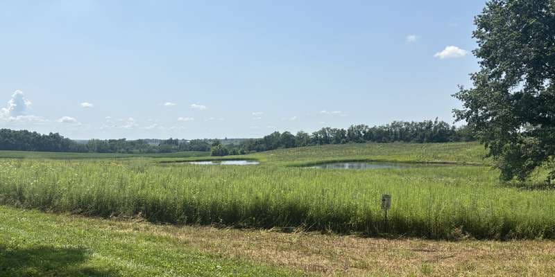 The featured photo for Rolling Hills Meadow