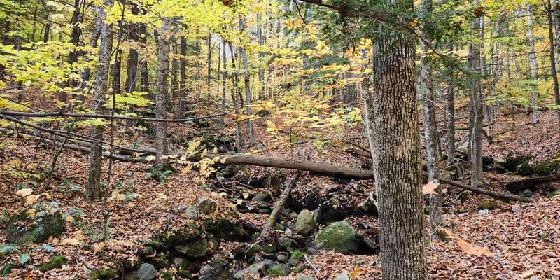 The featured photo for Blackstrap Hill Preserve