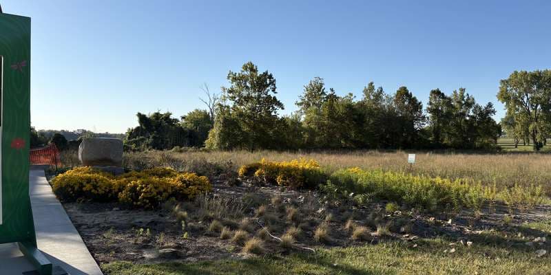 The featured photo for Chain of Rocks Park Prairie Reconstruction