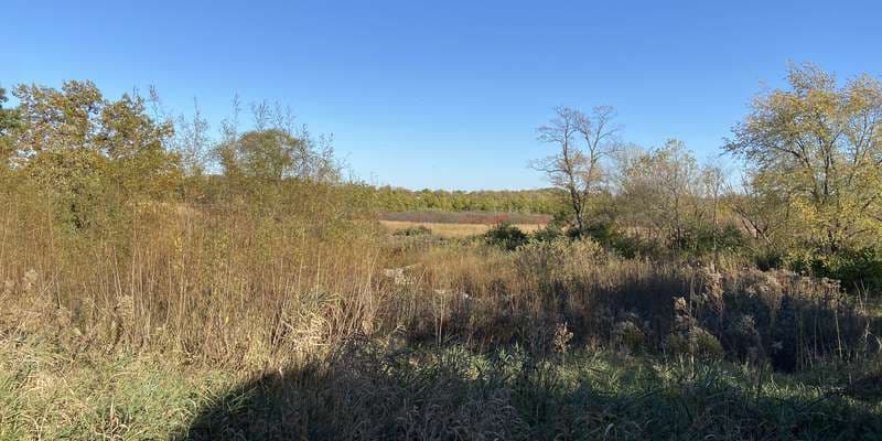 The featured photo for Volo Bog Overlook