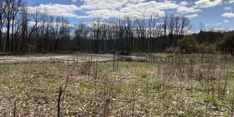 The featured photo for Jackson Field stream restoration project