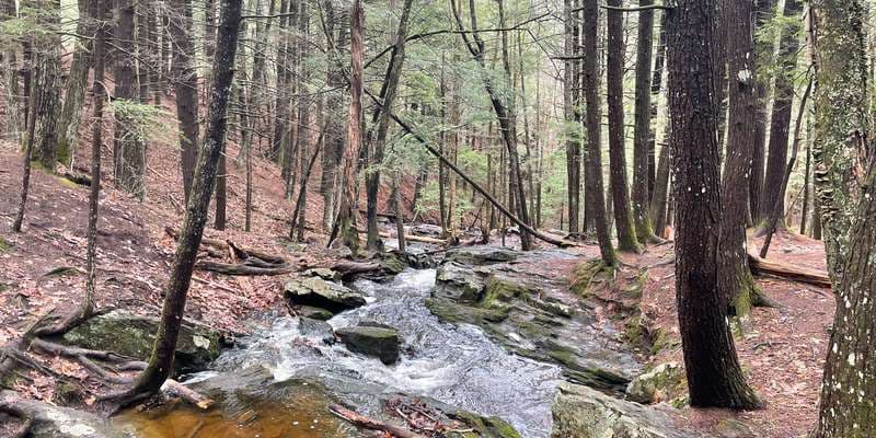 The featured photo for Fuller Farm Preserve