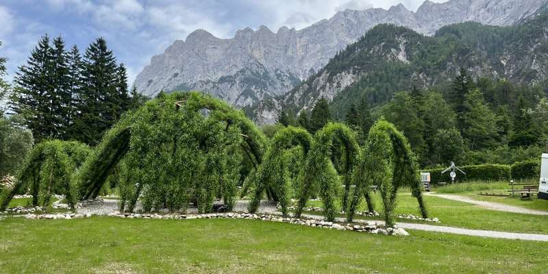 The featured photo for Weidendom / Willow Dome