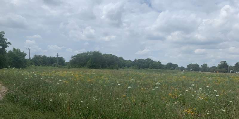 The featured photo for Dutro-Ernst Woods