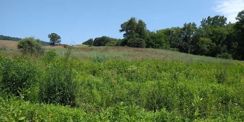The featured photo for Hadow Trail Burn Plot