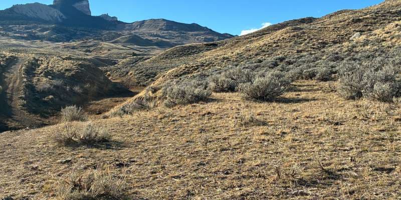 The featured photo for Heart Mountain Buck Creek
