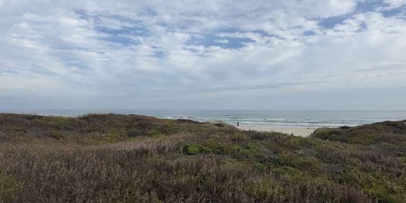 The featured photo for Malaquite Visitor Center Dunes