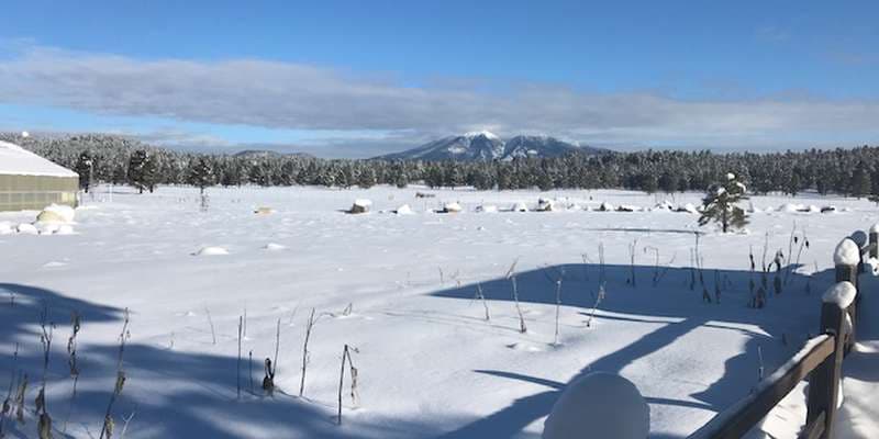 The featured photo for San Francisco Peaks
