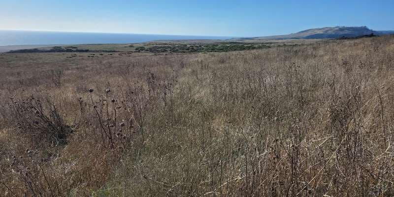 The featured photo for Agua Puerca Terrace 2