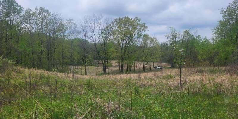 The featured photo for Wing Haven: Prairie