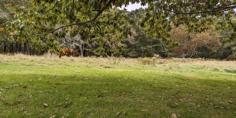 The featured photo for Native Seed Center at Turkey Hill Farm