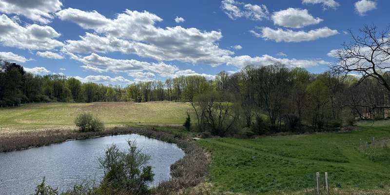 The featured photo for Brinton Run Preserve
