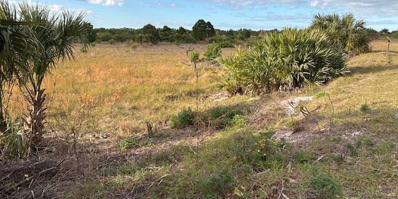 The featured photo for HAH NE Basin