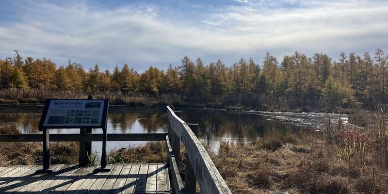 The featured photo for Eye of Volo Bog