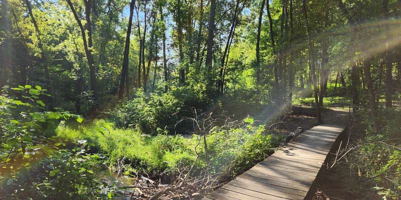 The featured photo for Disc Golf Course Hole 9