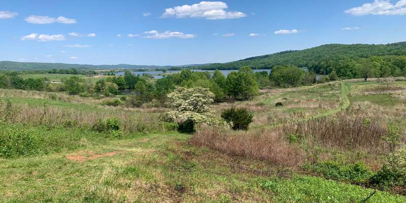 The featured photo for Conservation Trail Vista