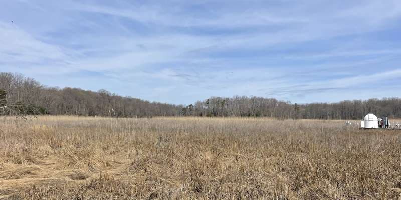 The featured photo for GCREW Marsh