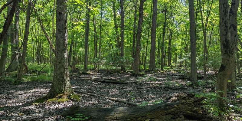 The featured photo for Gallogly 2