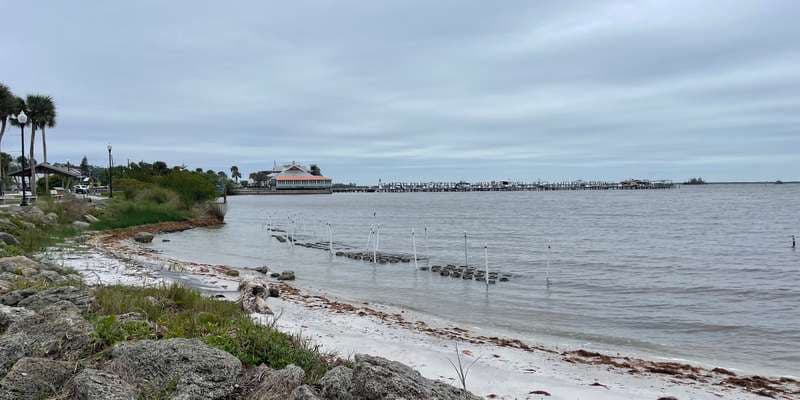 The featured photo for Riverview Park Living Shoreline