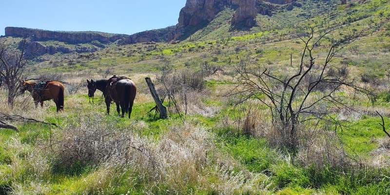 The featured photo for Arnett Creek Uplands 2