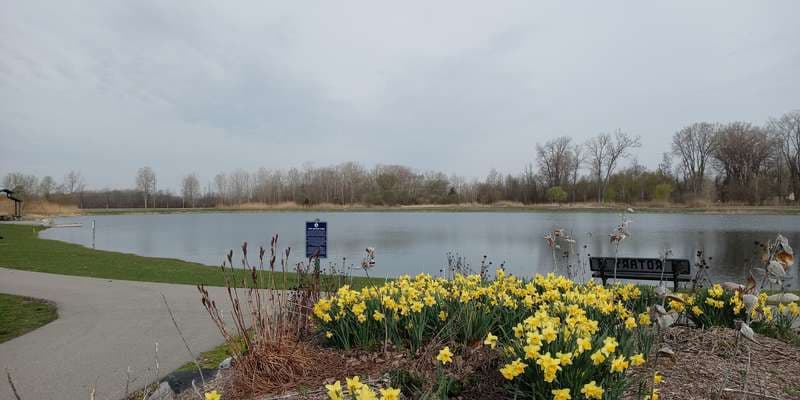 The featured photo for Fort Gratiot Pond