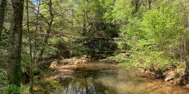 The featured photo for South Fork Peachtree Creek