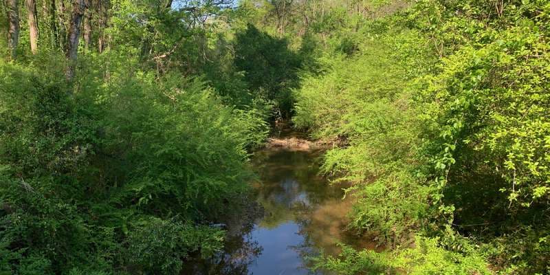 The featured photo for Burnt Fork Creek