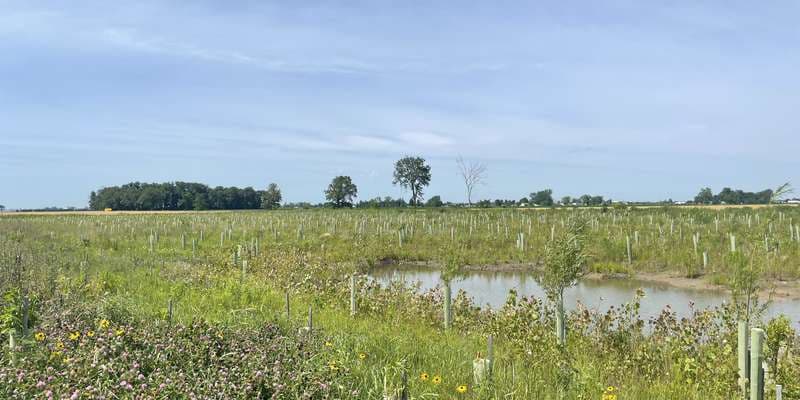 The featured photo for Carter Historic Farm