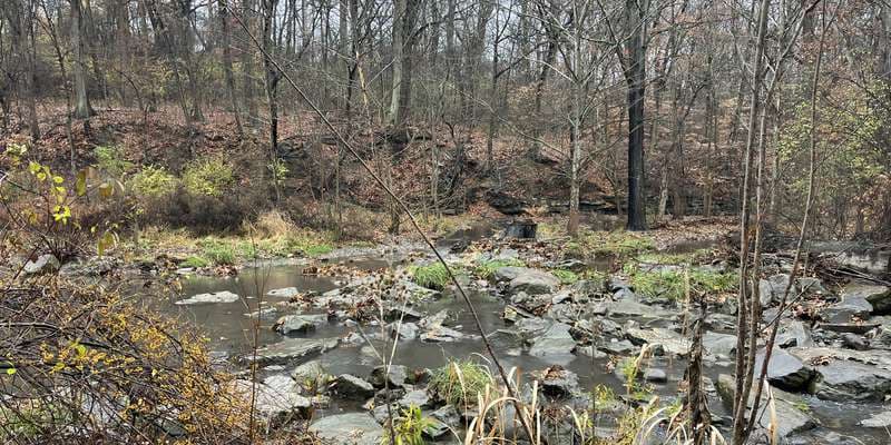 The featured photo for Nine Mile Run -- Streamside Bench