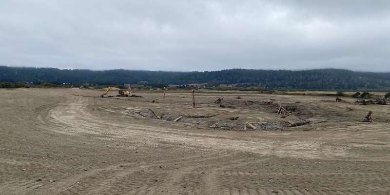 The featured photo for Salmon Creek Estuary - Long Pond Restoration