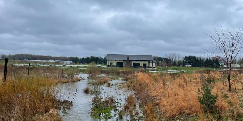 The featured photo for Springbrook Gardens Floodplain