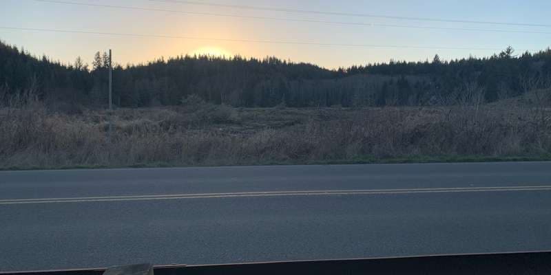 The featured photo for Colewort Creek Restoration Site at Netul Trail 