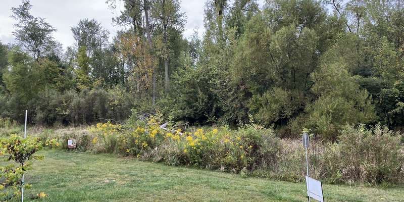 The featured photo for Nature Center Pond Walkway-Fox Island Co. Park