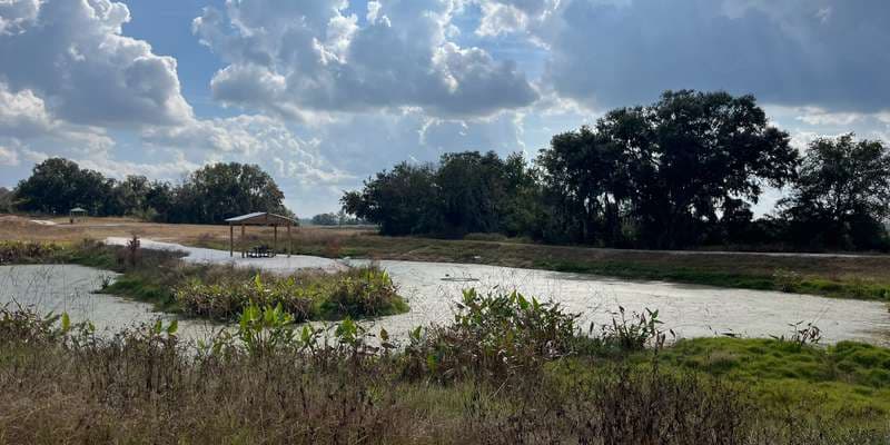 The featured photo for Se7en Wetlands Pond