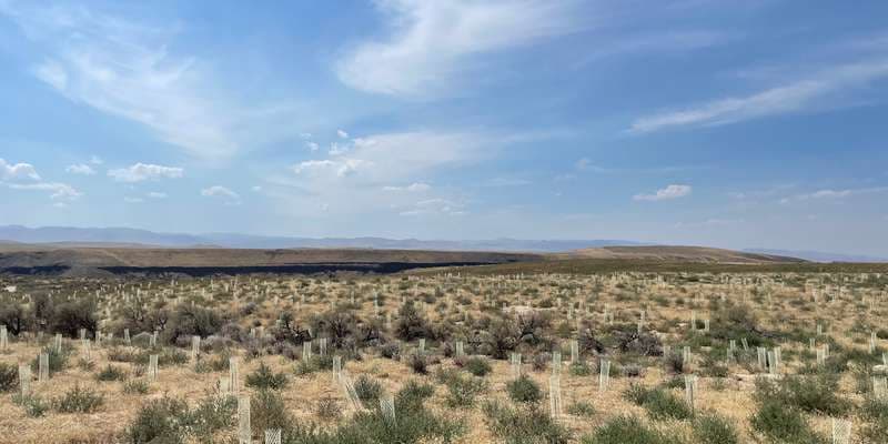 The featured photo for Dedication Point Habitat Restoration Project 