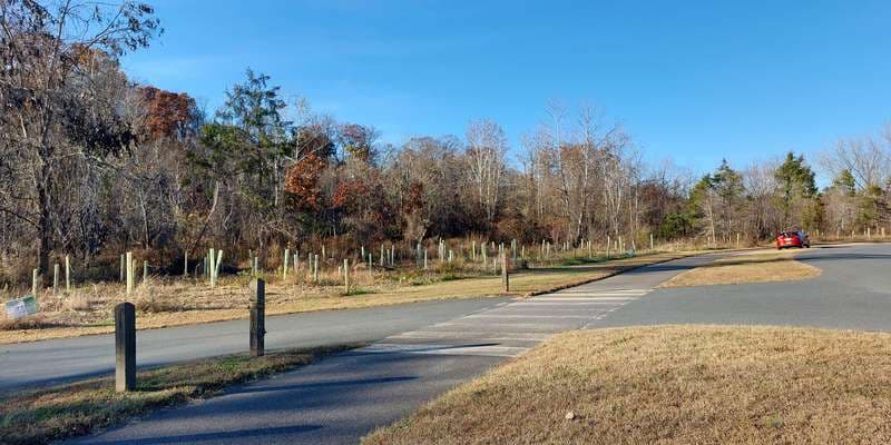 The featured photo for Darden Towe Park