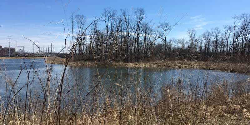 The featured photo for Four Mile Run Park