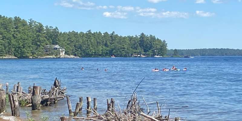 The featured photo for Forests for a cleaner Bay!