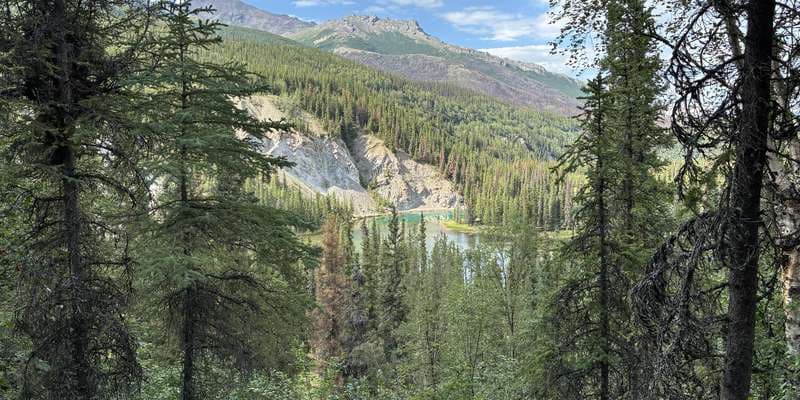 The featured photo for Horseshoe Lake Loop
