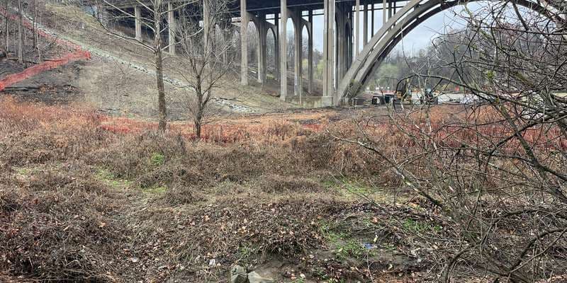 The featured photo for Nine Mile Run -- Boardwalk