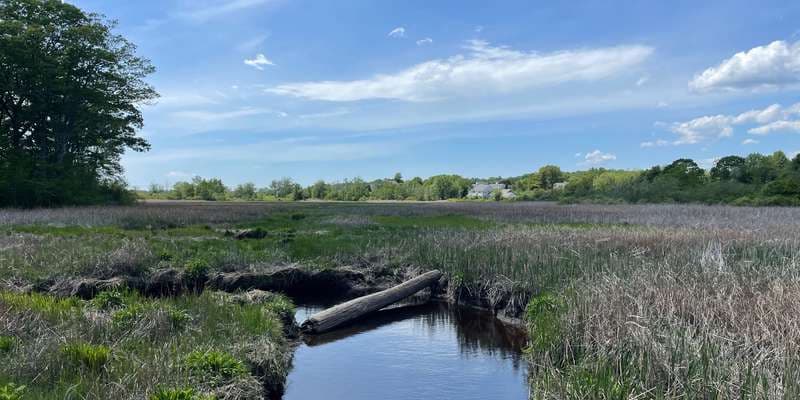 The featured photo for Spurwink Marsh Trail Bridge