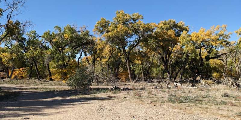 The featured photo for Albuquerque Open Space near Tingley Beach