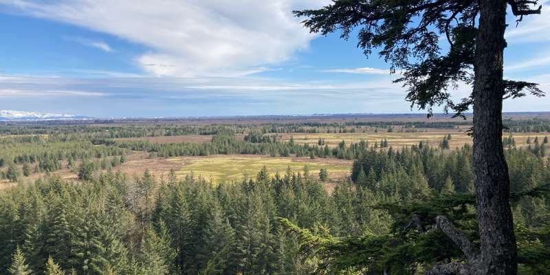 The featured photo for Haystack Trail Overlook