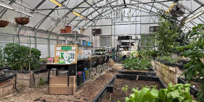 The featured photo for BUGS Greenhouse