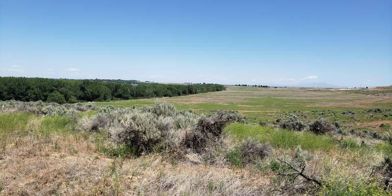 The featured photo for Observation Hill Overlook