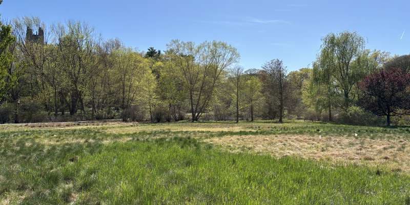 The featured photo for Meandering Meadow