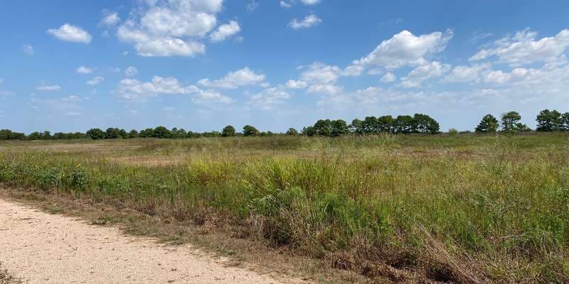 The featured photo for Indiangrass Preserve - Restored Prairie