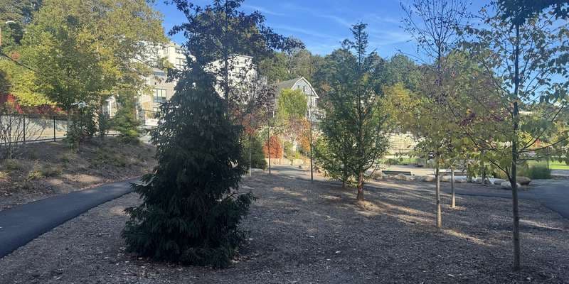 The featured photo for KEEP & Signs of Nature-Driscoll School, Brookline