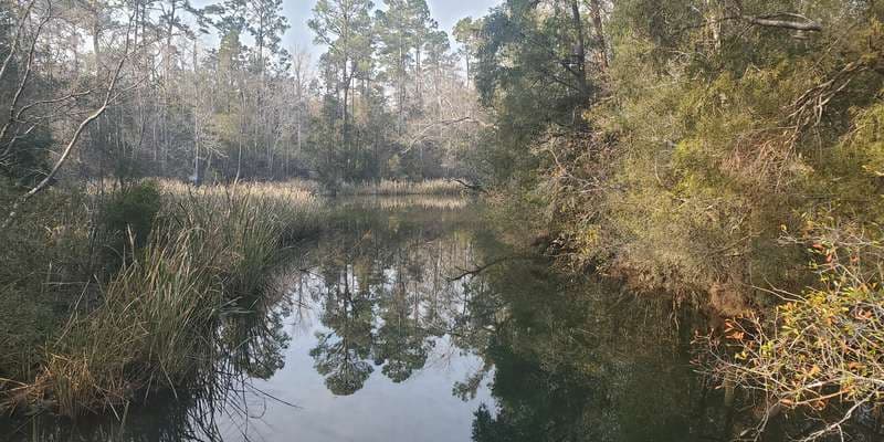 The featured photo for Escambia River